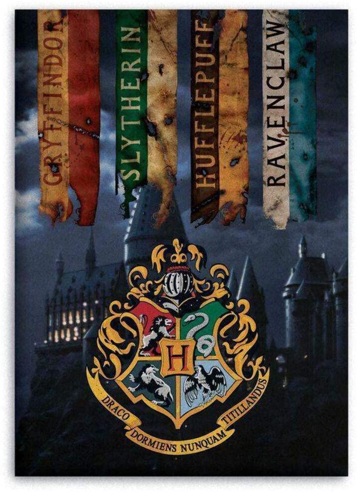 AYMAX S.P.R.L Compatible with Harry Potter Fleece Blanket, 100 x 140 cm, Microfibre