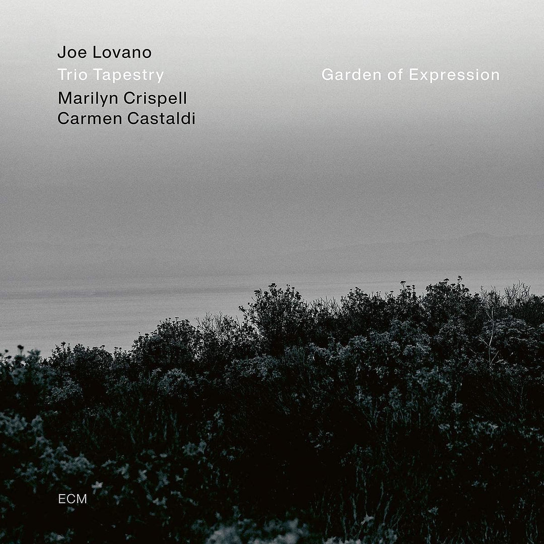 Joe Lovano – Garden of Expression [Vinyl]