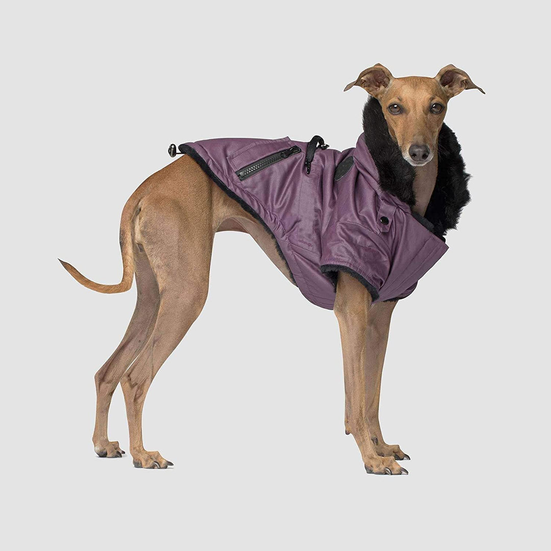 Canada Pooch CP01790 Urban Wax Parka Größe 26 Schwarz