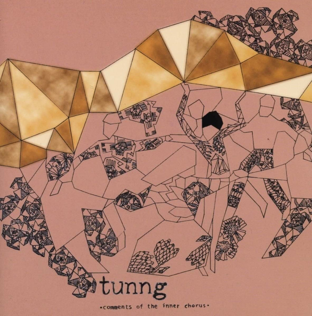 Tunng – Comments Of The Inner Chorus [Vinyl]