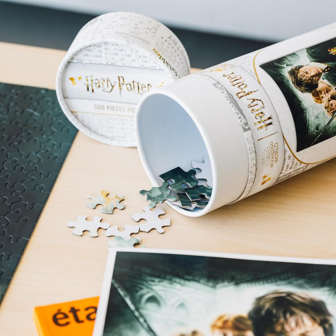 Grupo Erik Harry Potter Puzzle | 500 Piece Jigsaw Puzzles | 24 x 17 inches Harry Potter and the Chamber of Secrets