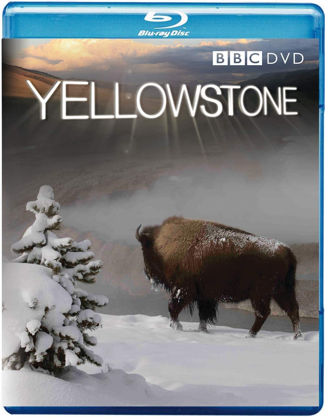 Yellowstone [Region Free] - Drama [Blu-ray]