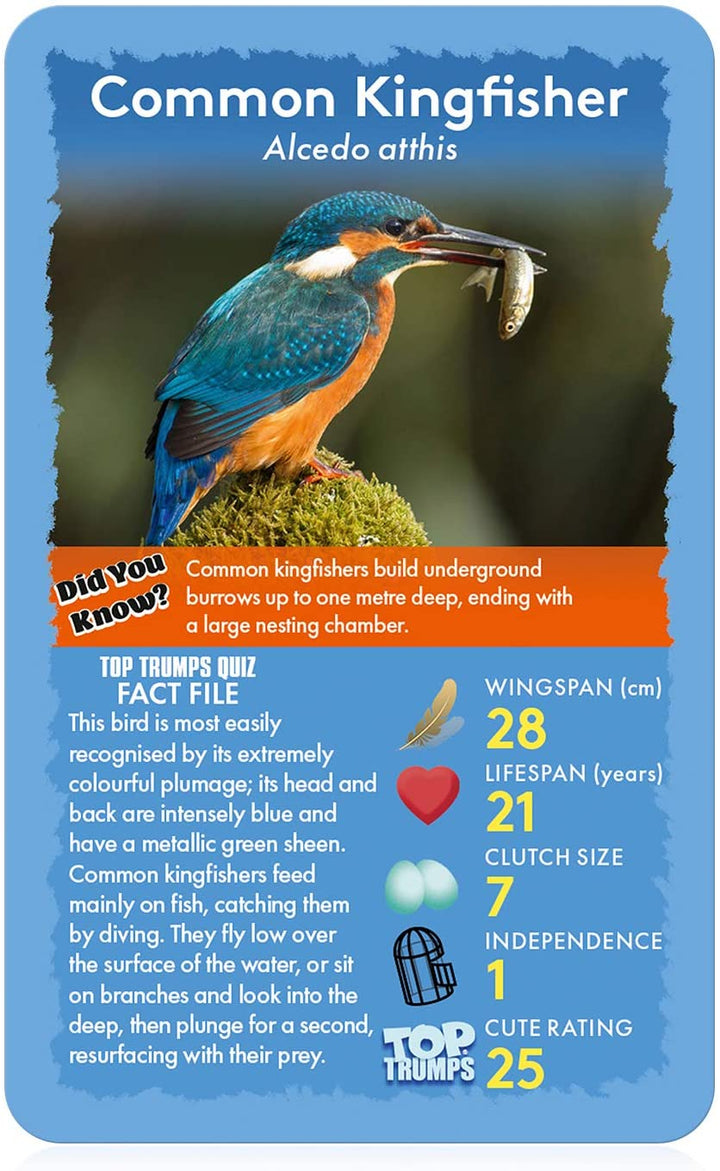 Birds Top Trumps Kartenspiel