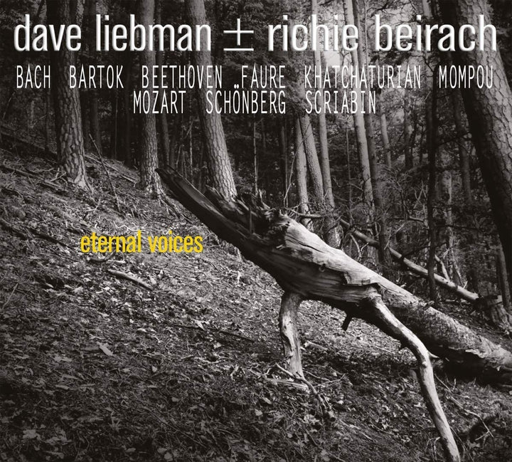 Dave Liebman &amp; Richie Beirach – Eternal Voices [Audio CD]