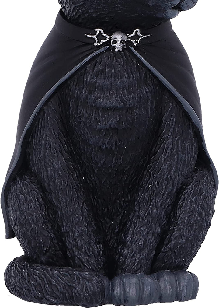 Nemesis Now Purrah schwarze Hexenkatze zum Aufhängen, dekoratives Ornament, 11,5 cm