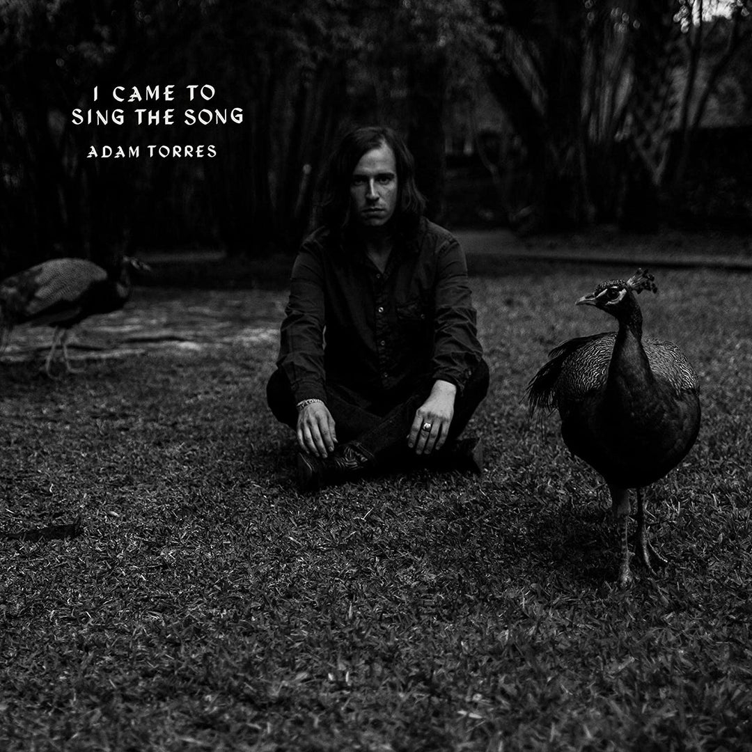 Adam Torres – I Came To Sing the Song [Audio-CD]