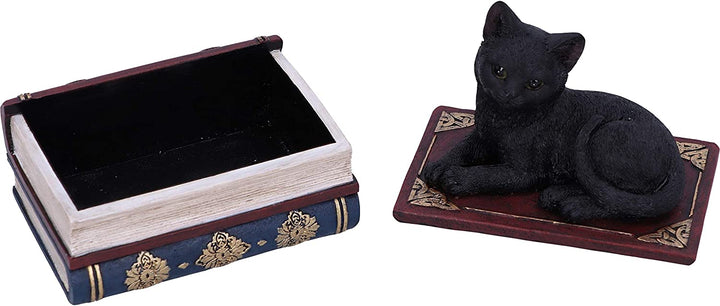 Nemesis Now Salems Spells Witches Familiar Box mit schwarzer Katze und Zauberbuch, 11,7 cm