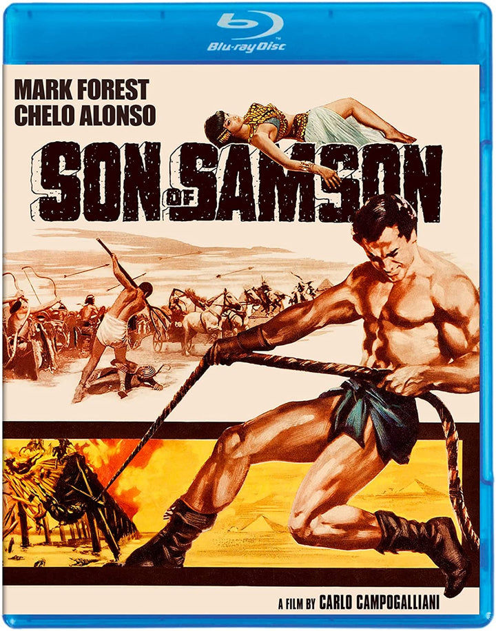 Sohn Simsons [Blu-ray] 