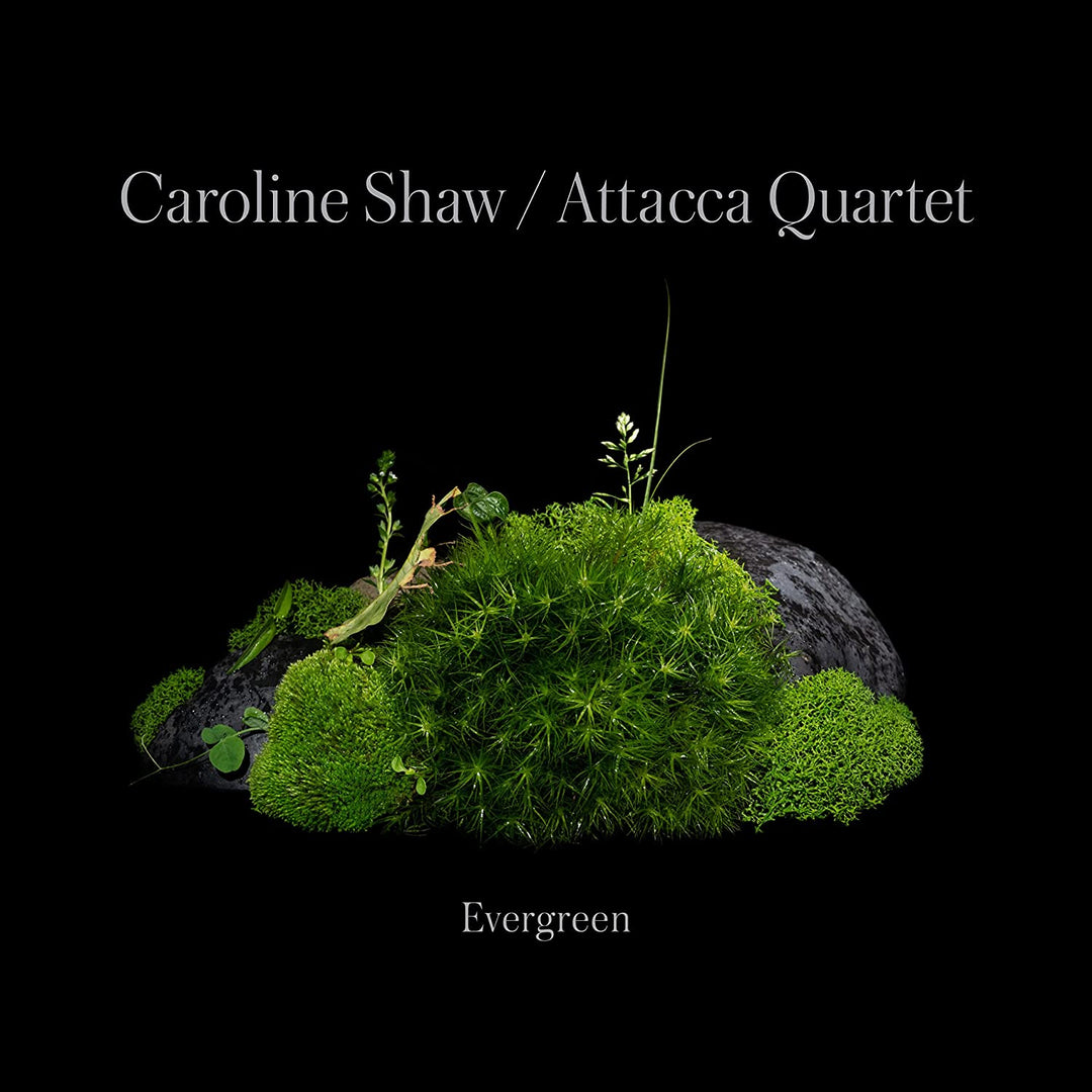 Caroline Shaw: Evergreen [Audio-CD]