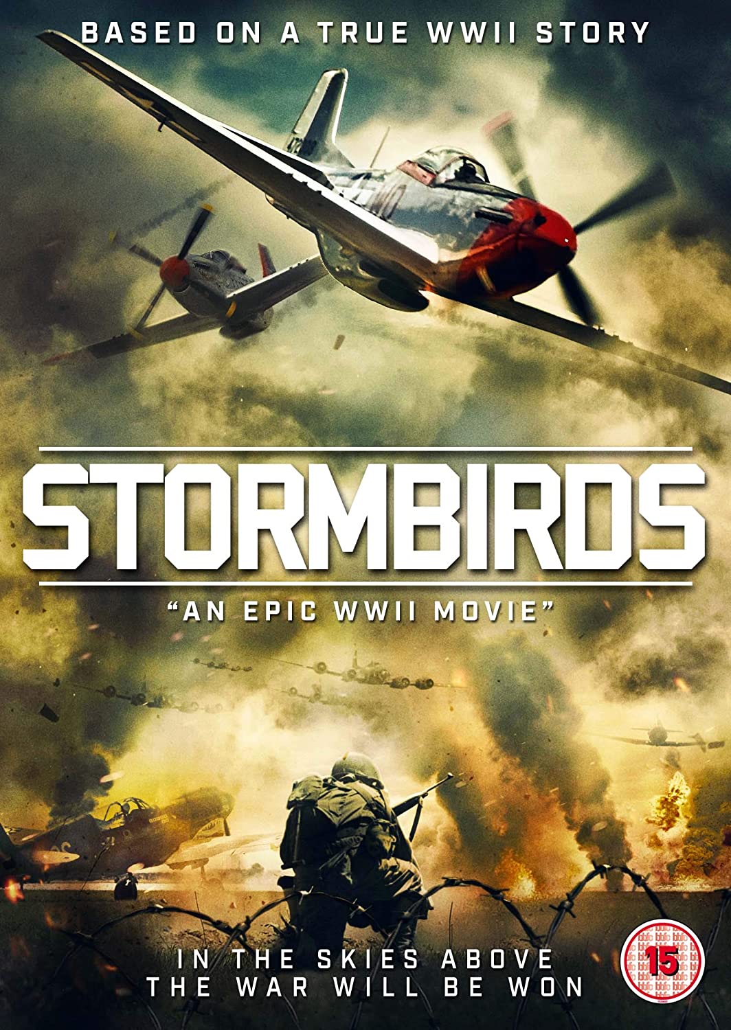 Sturmvögel [DVD]