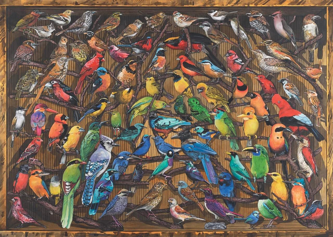 Ravensburger Regenbogen der Vögel 1000-teiliges Puzzle für Erwachsene und Kinder im Alter