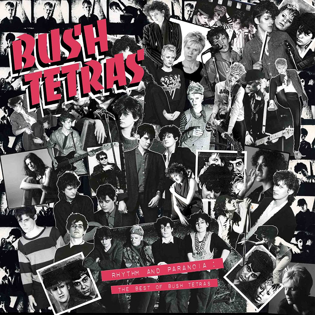 Bush Tetras – Rhythmus und Paranoia: Das Beste von Bush Tetras [Audio-CD]