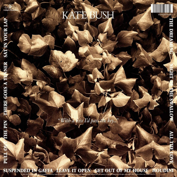 The Dreaming (2018 Remaster) – Kate Bush [VINYL]