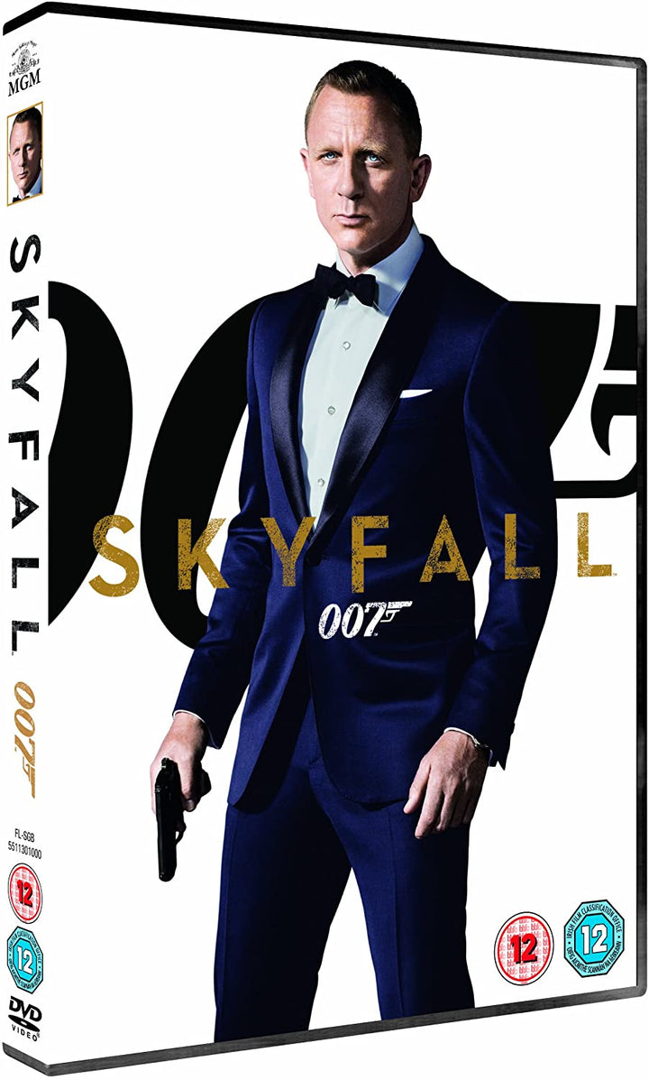 Skyfall – Action/Abenteuer [DVD]