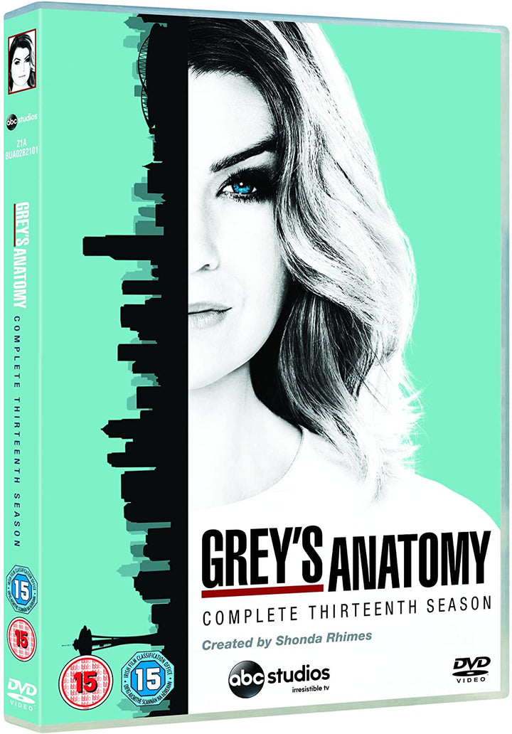 Grey's Anatomy – Staffel 13 – Drama [DVD]