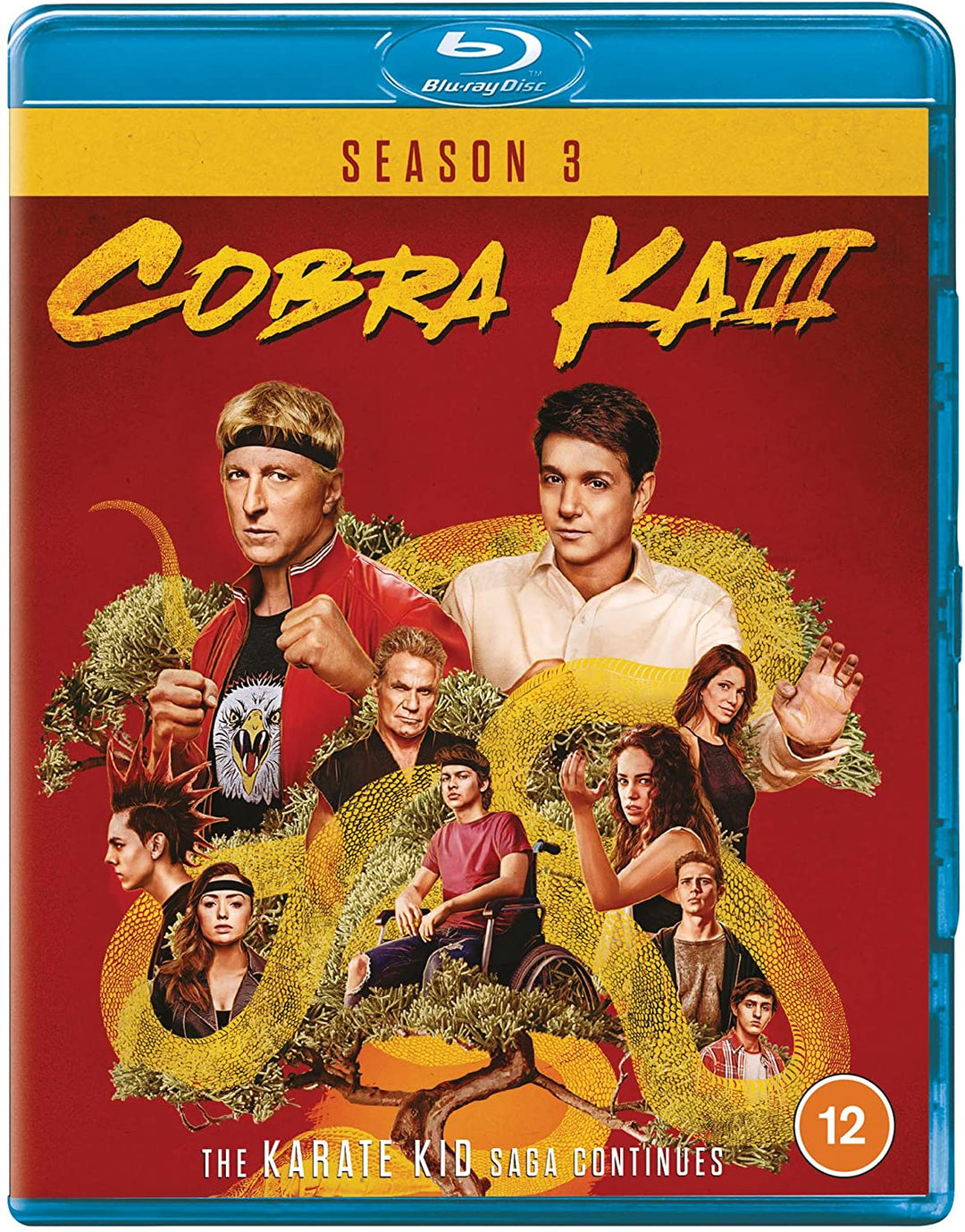 Cobra Kai – Staffel 03 – Action-Fiction [Blu-ray] [2021]