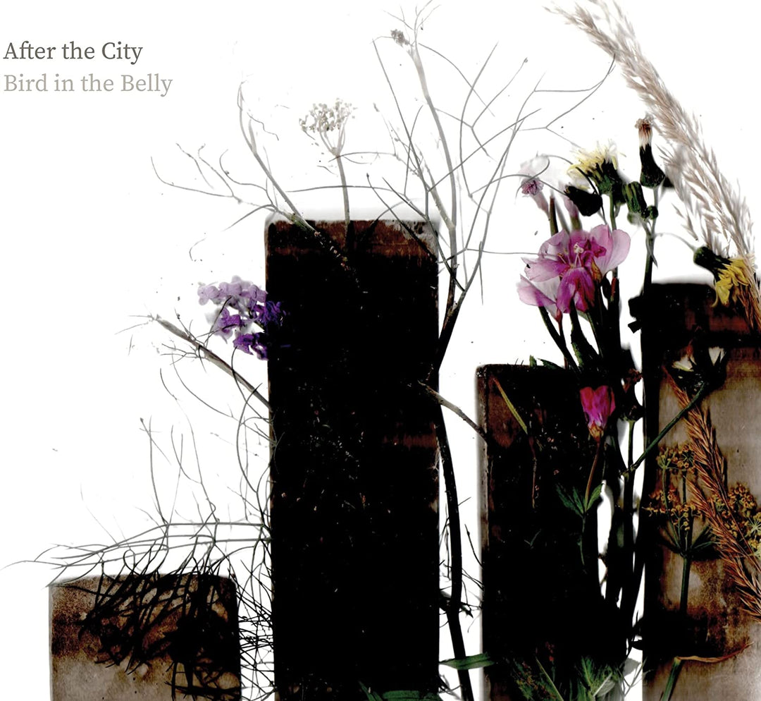 Bird In The Belly – After The City [Audio-CD]