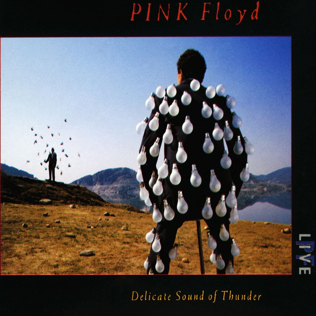 Pink Floyd – Delicate Sound Of Thunder [Audio-CD]