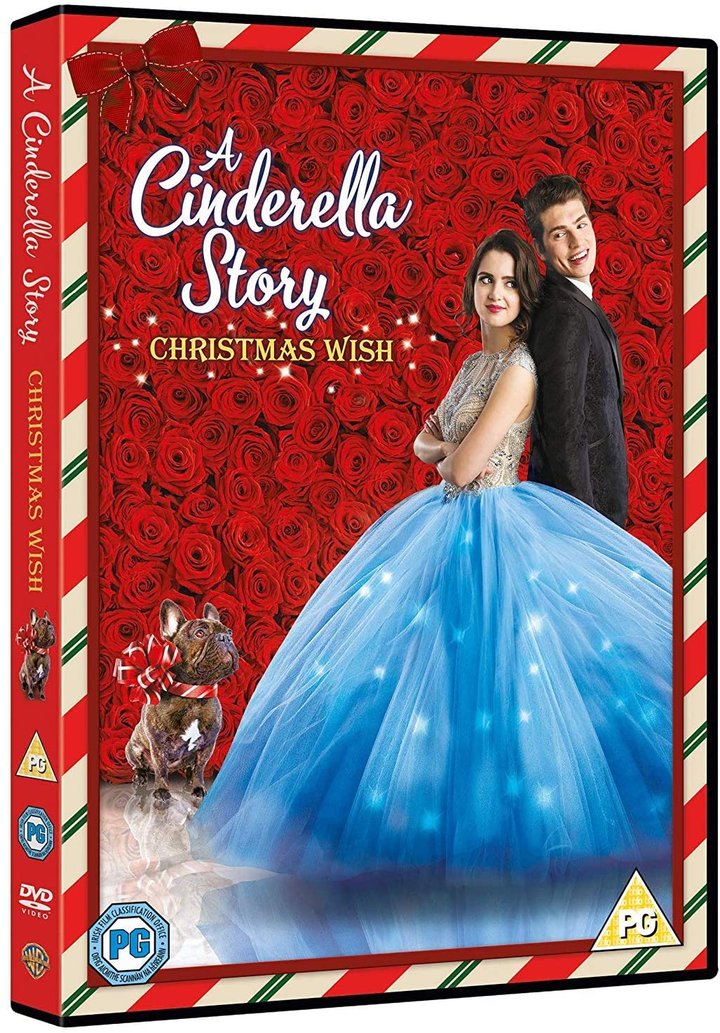 A Cinderella Story: A Christmas Wish [DVD] [2019] – Liebesfilm/Komödie [DVD]
