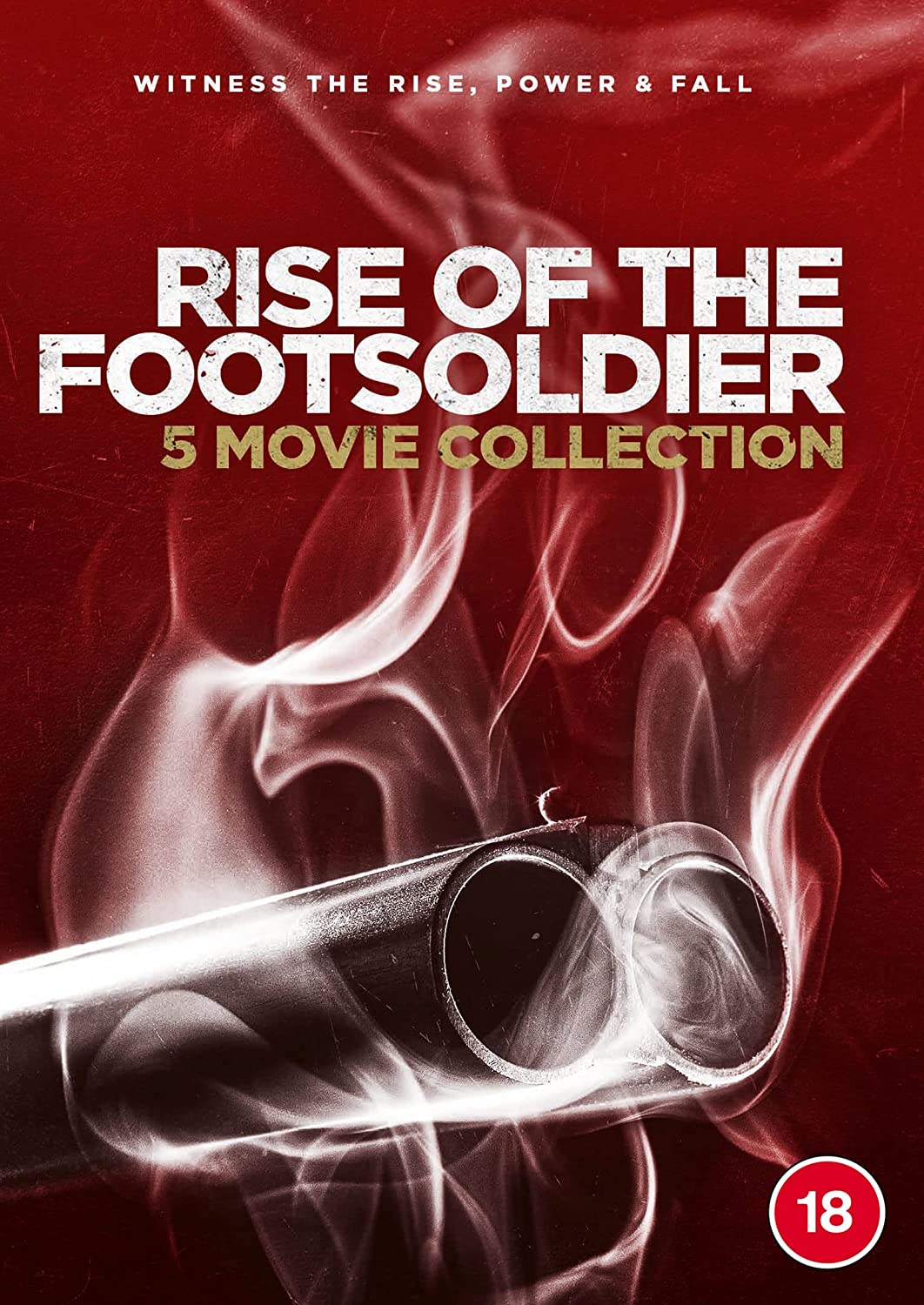 Rise of the Footsoldier Boxset 1-5 [2021] – Krimi/Drama [DVD]