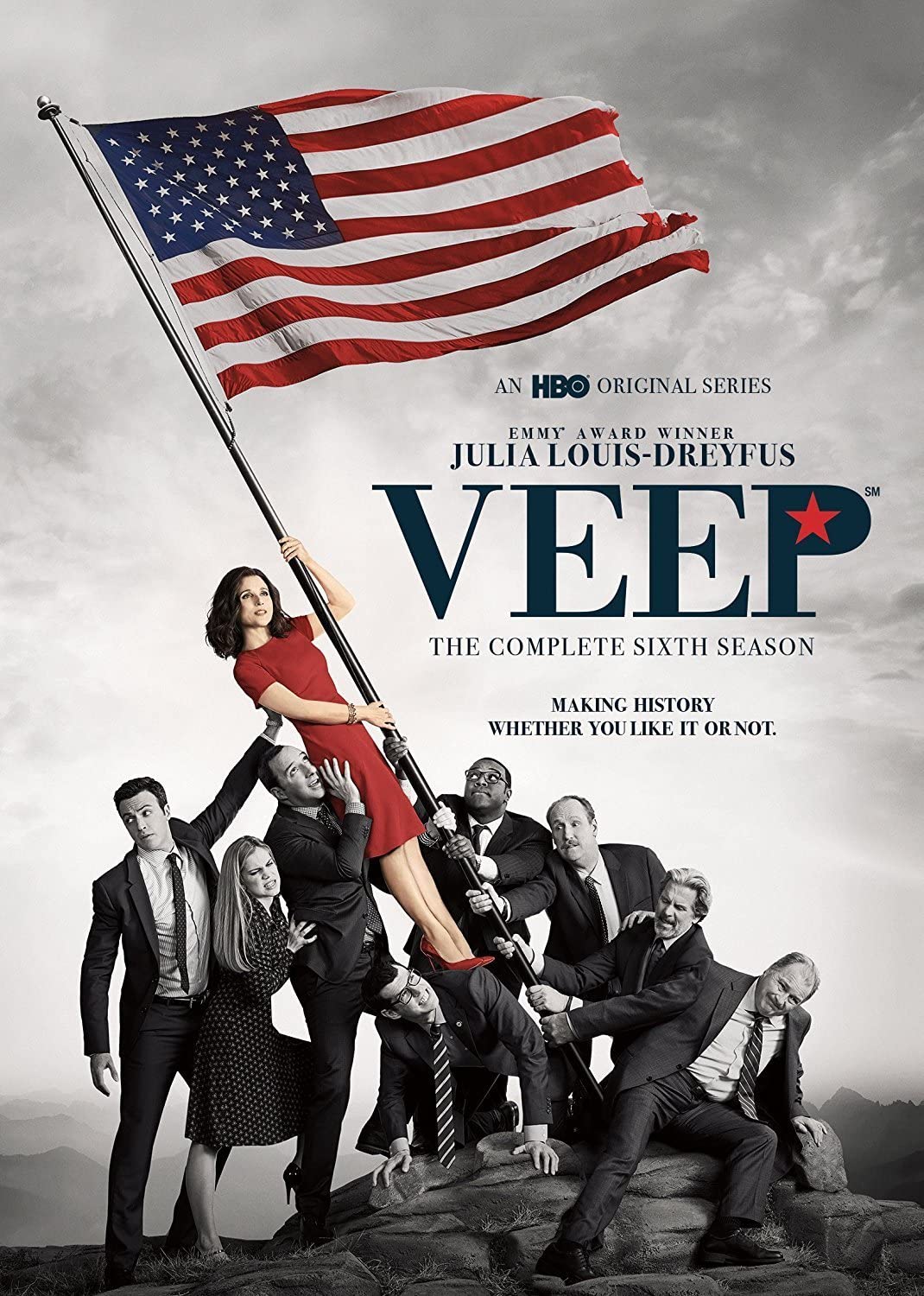 Veep: Staffel 6 [2017] – Sitcom [DVD]