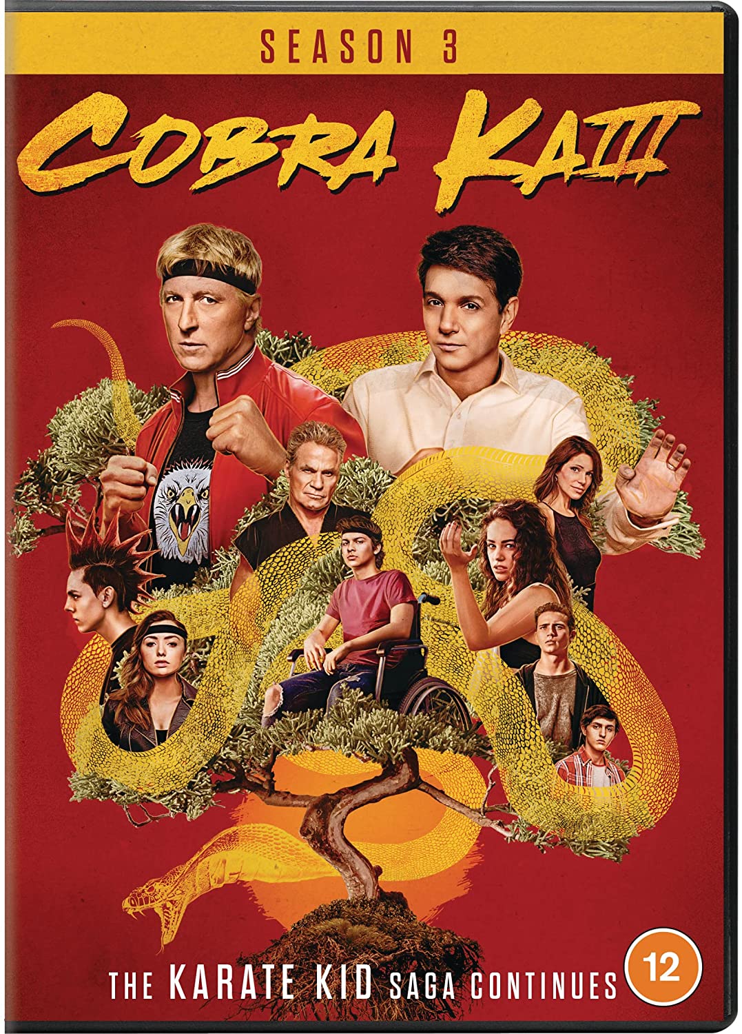 Action-Fiction – Cobra Kai – Staffel 03 [DVD] [2021]