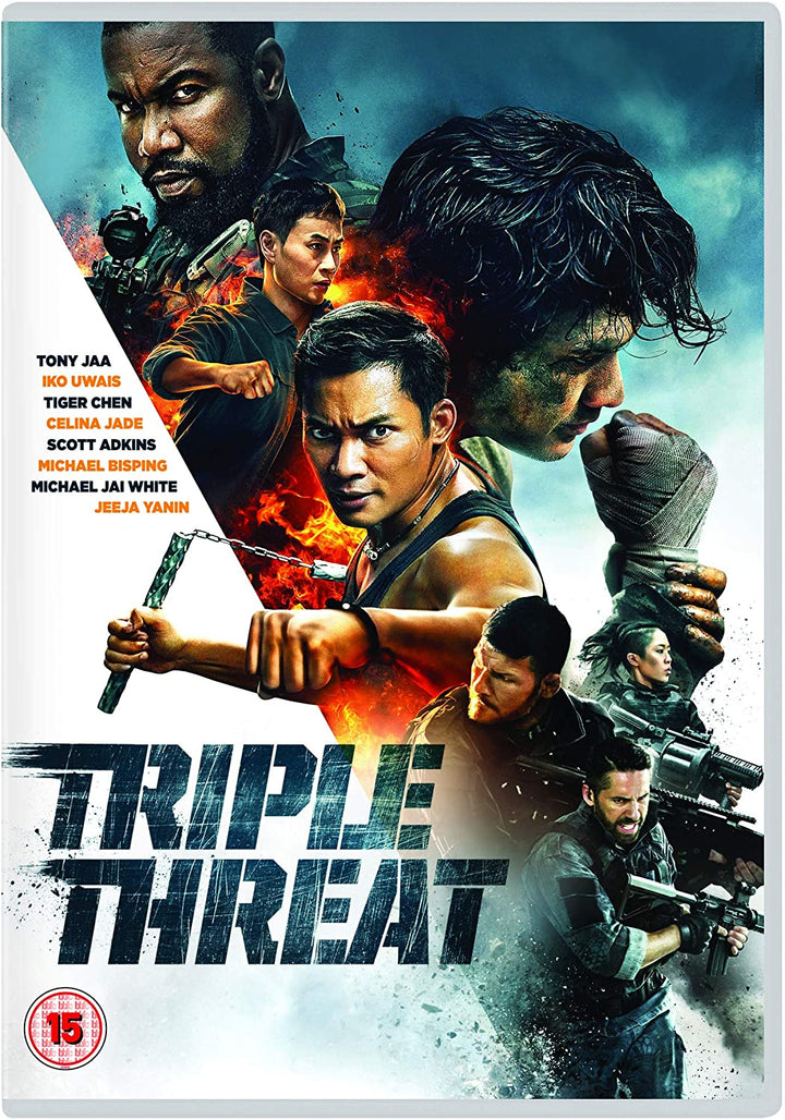 Triple Threat – Action/Kampfkunst [DVD]