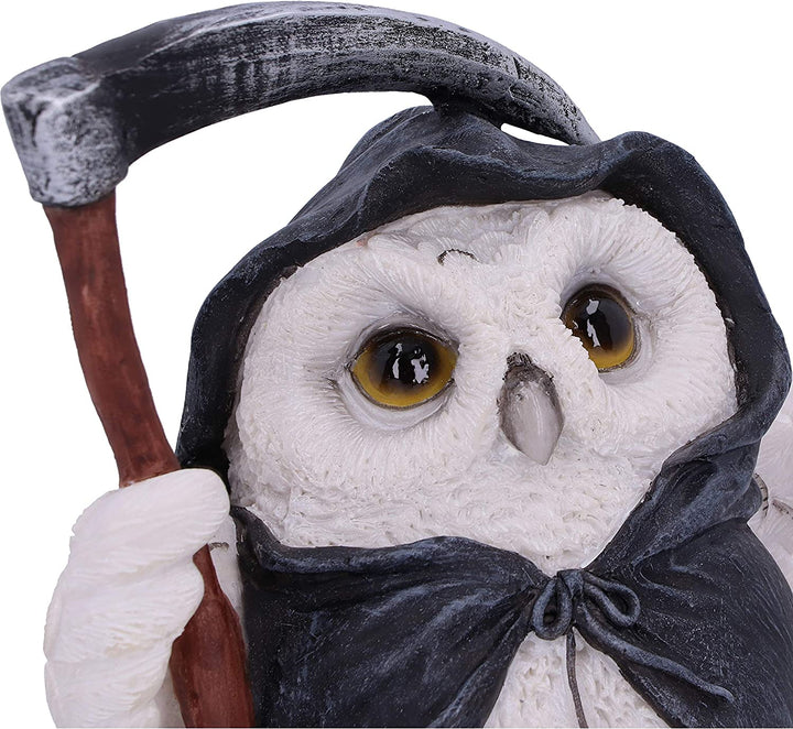 Nemesis Now Flight Grim Reaper Owl Familiar Figurine, White, 12.5cm