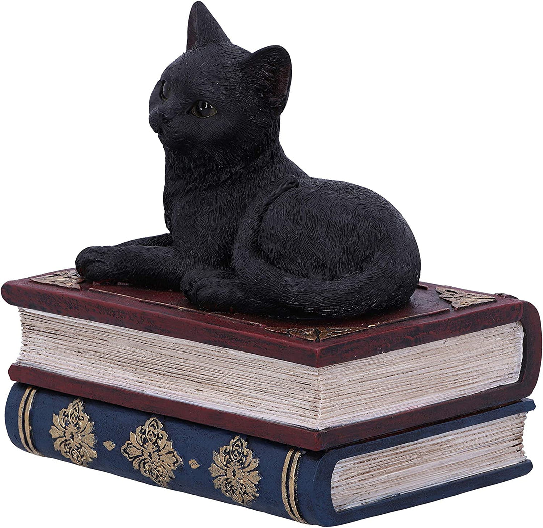 Nemesis Now Salems Spells Witches Familiar Box mit schwarzer Katze und Zauberbuch, 11,7 cm