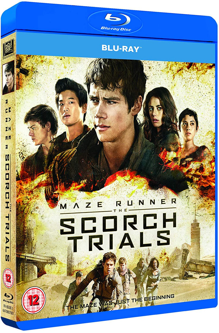 Maze Runner: The Scorch Trials [2015] – Science-Fiction/Action [DVD]