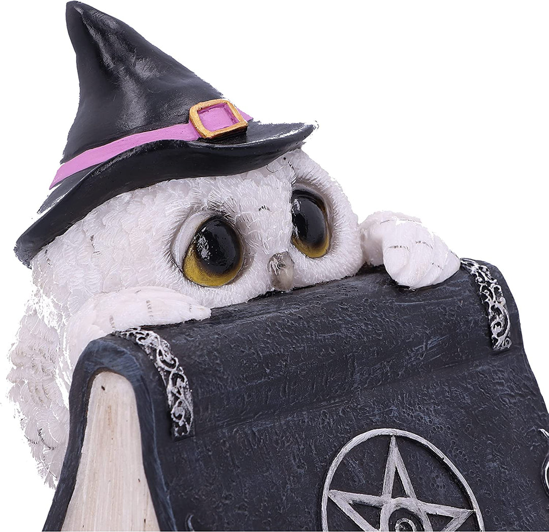 Nemesis Now Owl's Spell 15 cm, Schwarz