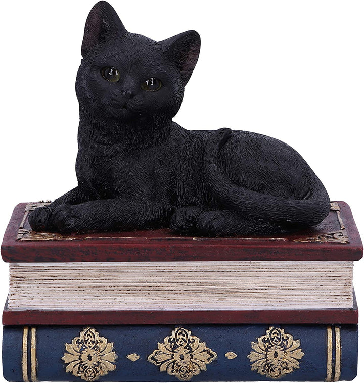 Nemesis Now Salems Spells Witches Familiar Box mit schwarzer Katze und Zauberbuch, 11,7 cm