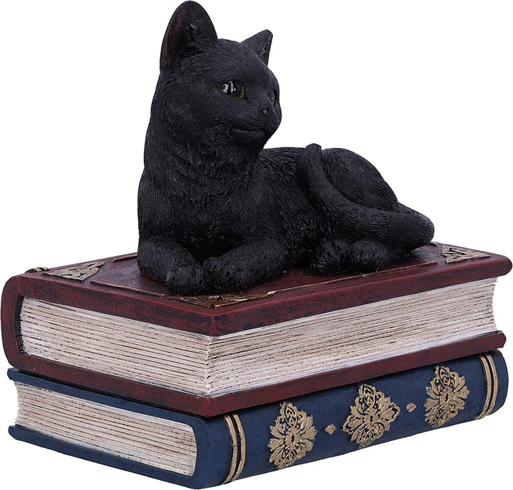 Nemesis Now Salems Spells Witches Familiar Box mit schwarzer Katze und Zauberbuch, 11,7 cm