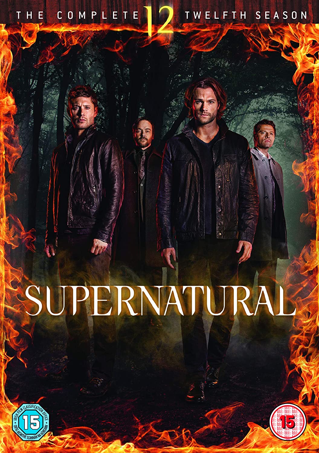 Supernatural: Die komplette zwölfte Staffel – Mystery [DVD]