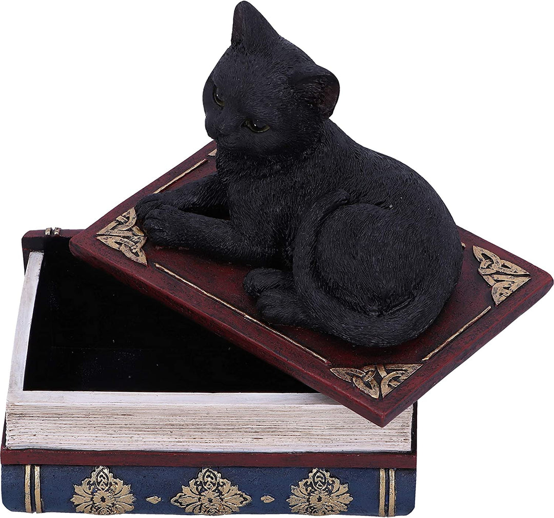 Nemesis Now Salems Spells Witches Familiar Box mit schwarzer Katze und Zauberbuch, 11,7 cm