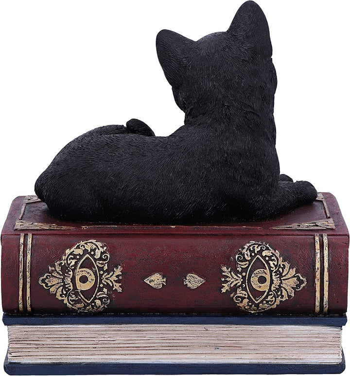 Nemesis Now Salems Spells Witches Familiar Box mit schwarzer Katze und Zauberbuch, 11,7 cm