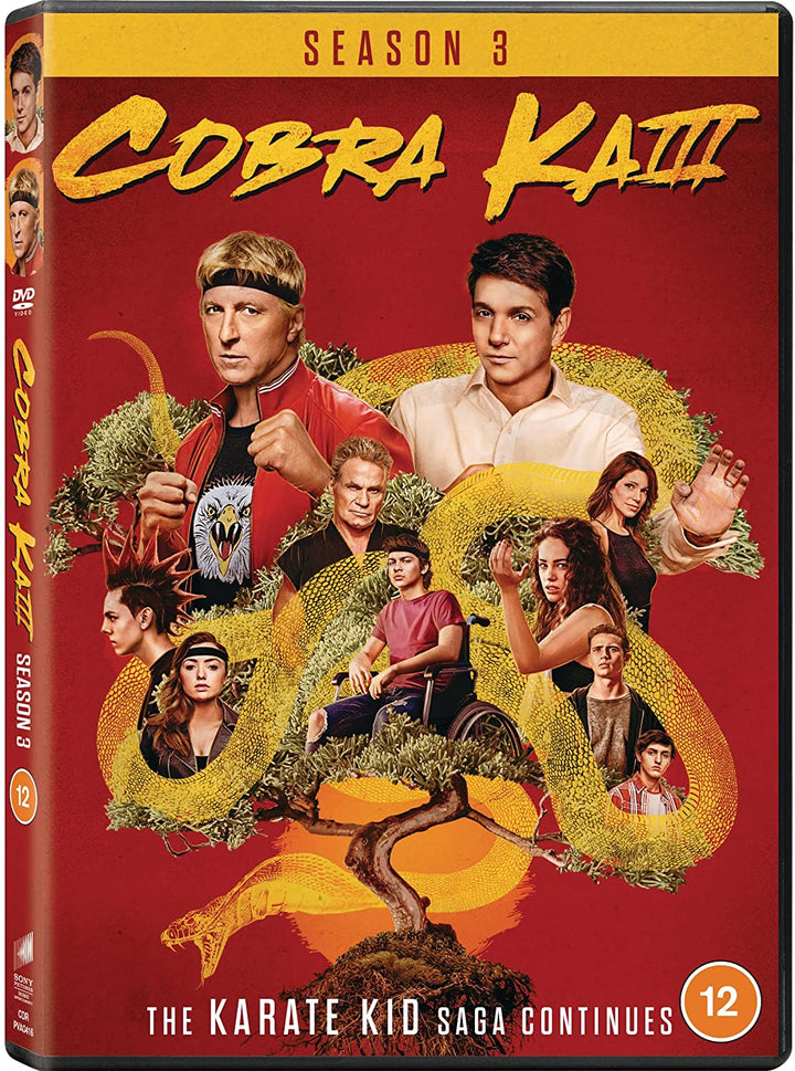 Action-Fiction – Cobra Kai – Staffel 03 [DVD] [2021]