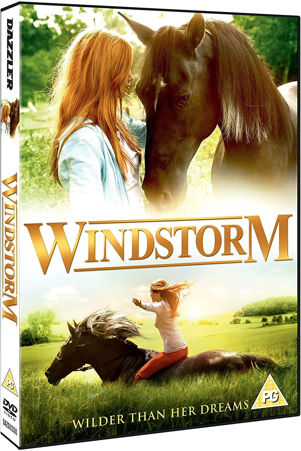 Windsturm [DVD]