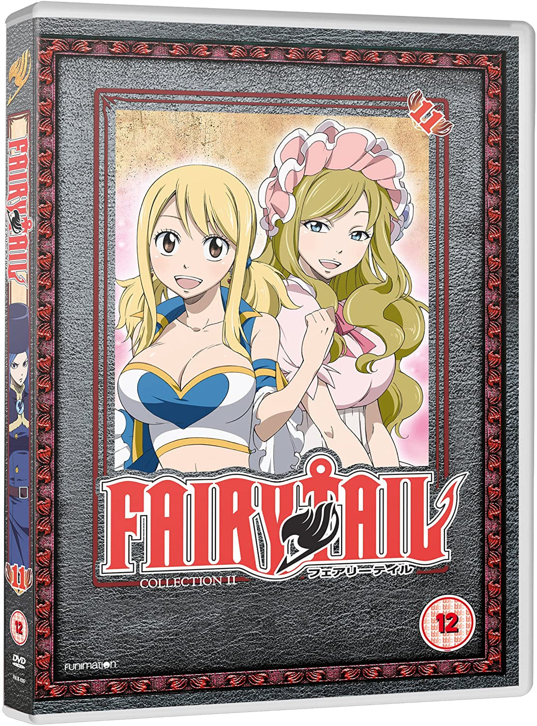 Fairy Tail – Teil 11 [DVD]