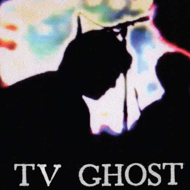 TV Ghost – Disconnect [Audio-CD]