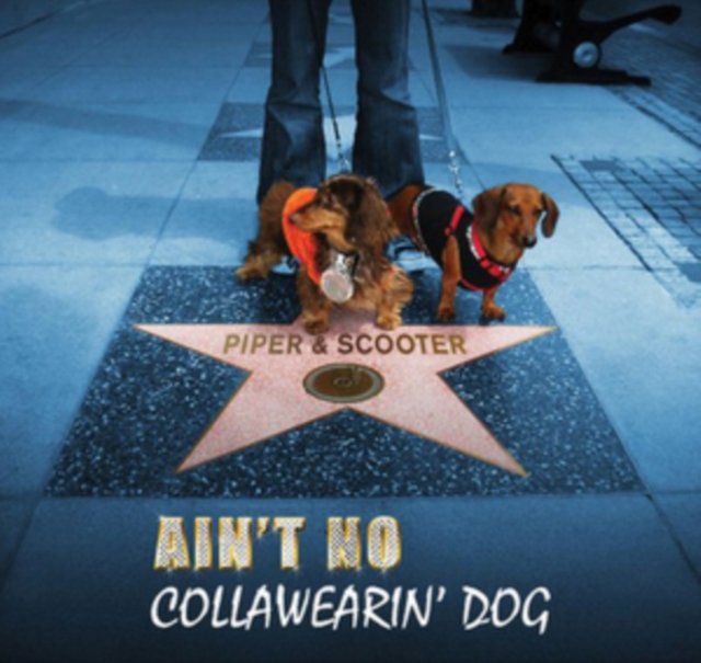 Piper und Scooter – Ain'T No Collawearin' Dog [Audio-CD]