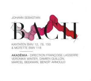 JS Bach - Kantaten &amp; Motette [Audio CD]