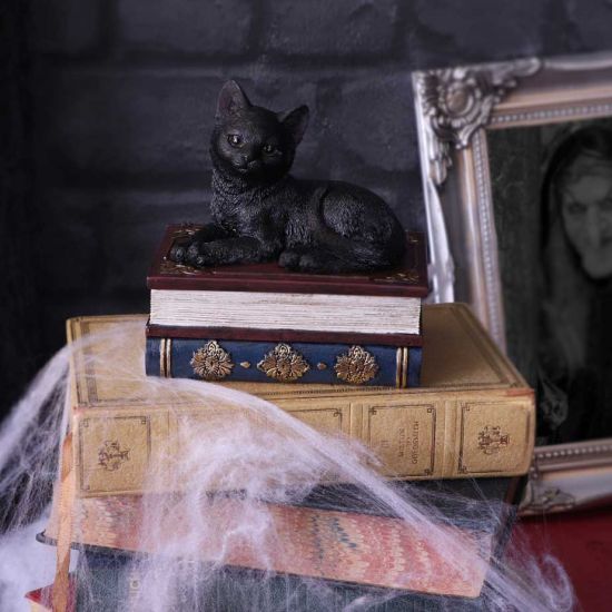 Nemesis Now Salems Spells Witches Familiar Box mit schwarzer Katze und Zauberbuch, 11,7 cm